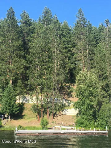 00NKA S Lakeview Lane Harrison, ID 83833