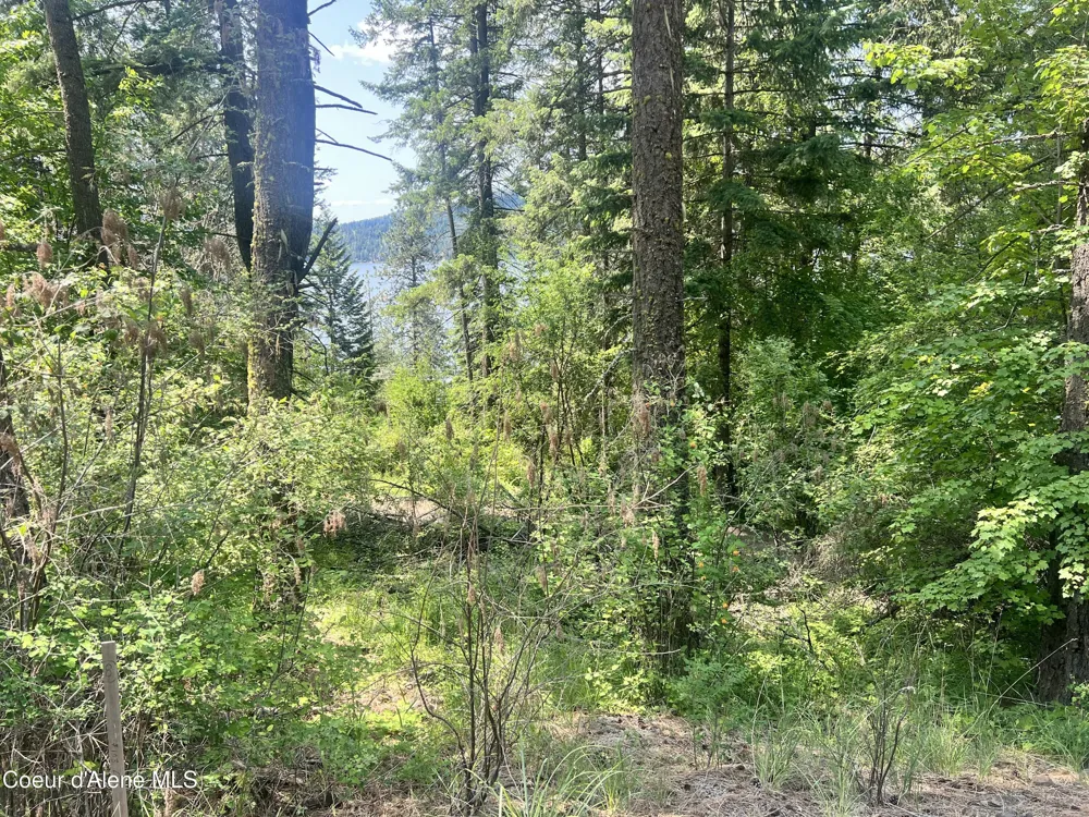 00NKA S Lakeview Lane Harrison, ID 83833