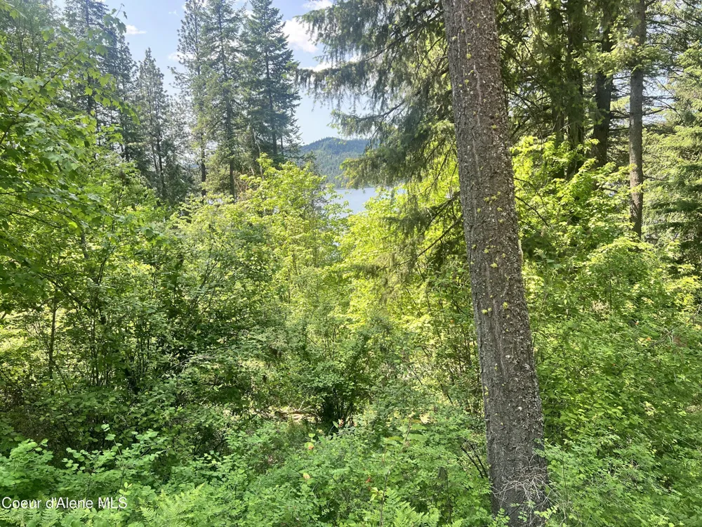 00NKA S Lakeview Lane Harrison, ID 83833