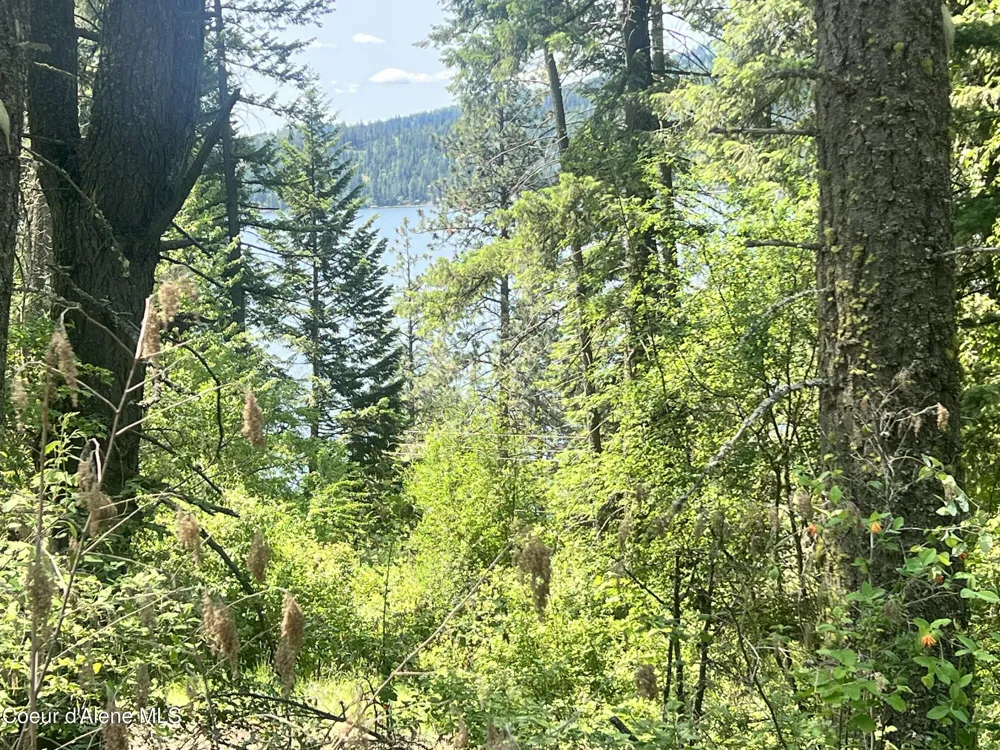 00NKA S Lakeview Lane Harrison, ID 83833