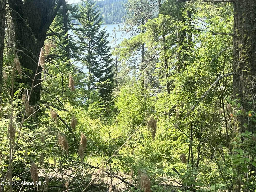 00NKA S Lakeview Lane Harrison, ID 83833