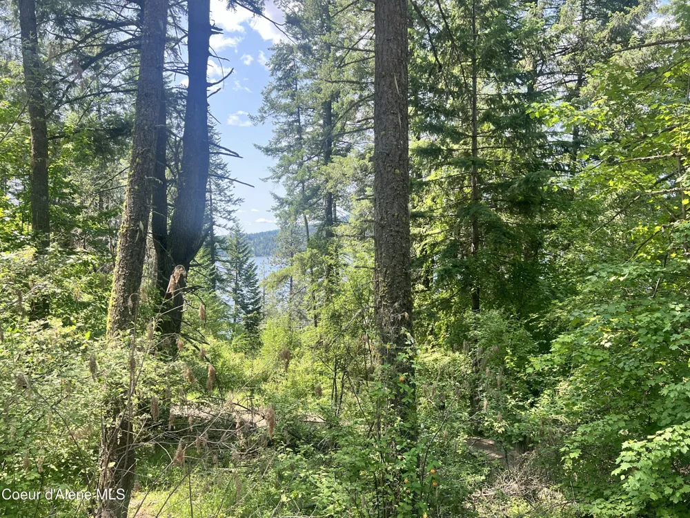 00NKA S Lakeview Lane Harrison, ID 83833