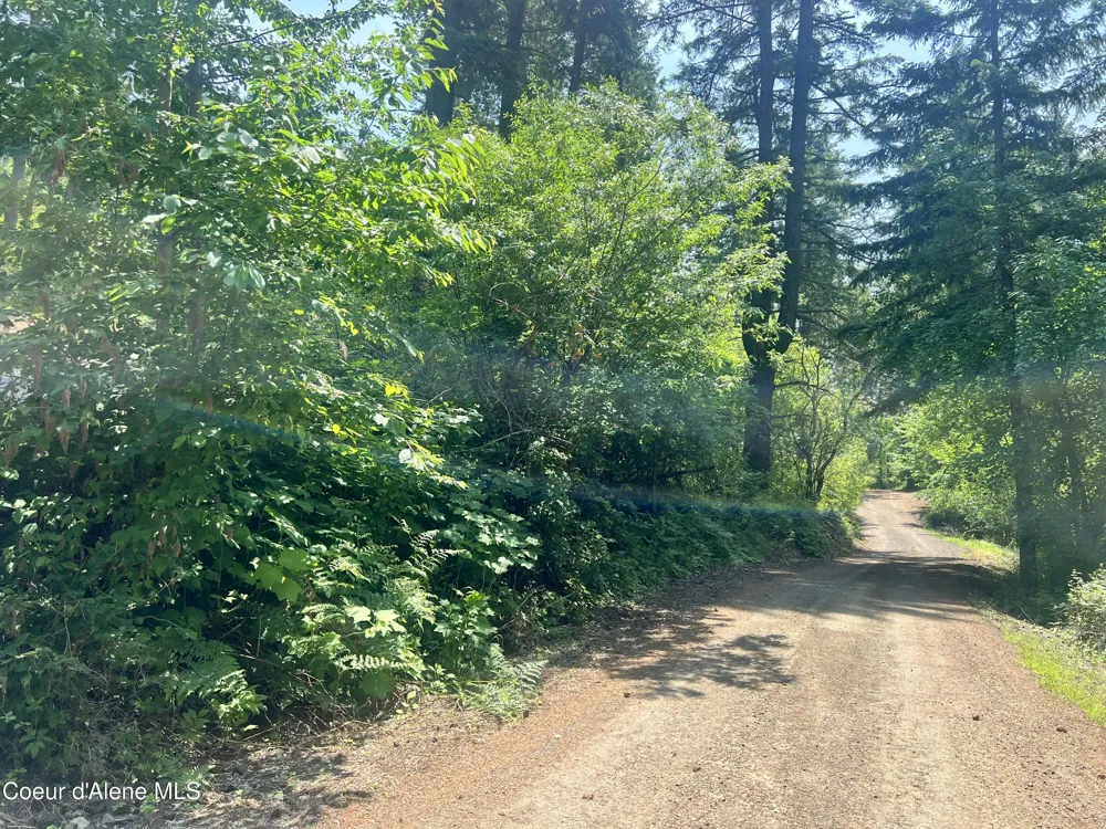 00NKA S Lakeview Lane Harrison, ID 83833