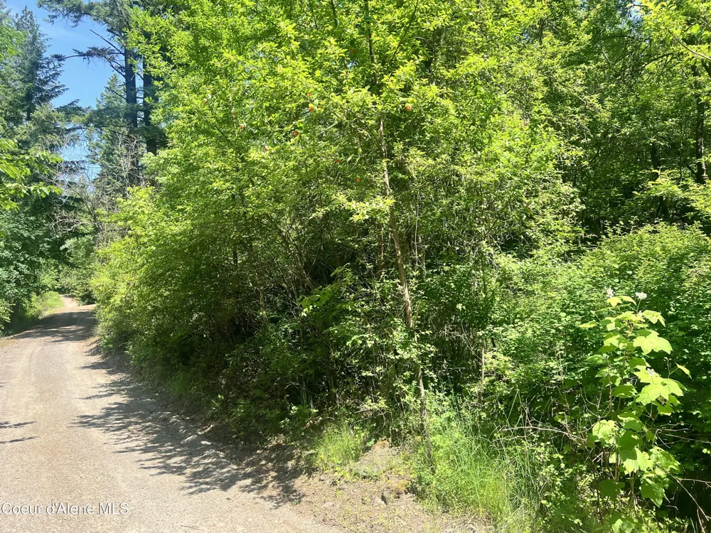 00NKA S Lakeview Lane Harrison, ID 83833