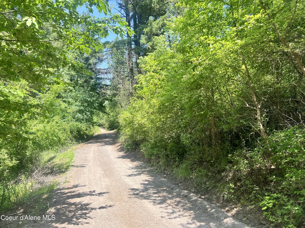 00NKA S Lakeview Lane Harrison, ID 83833
