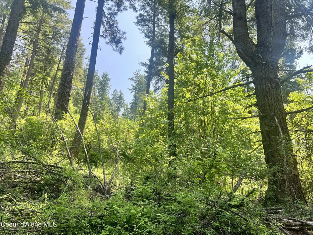 00NKA S Lakeview Lane Harrison, ID 83833