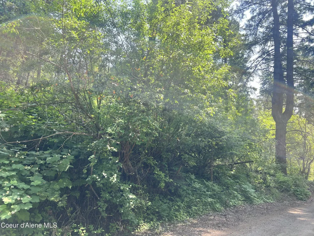00NKA S Lakeview Lane Harrison, ID 83833