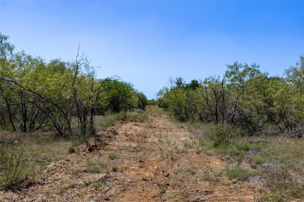 1665 Witter Road Dale, TX 78616