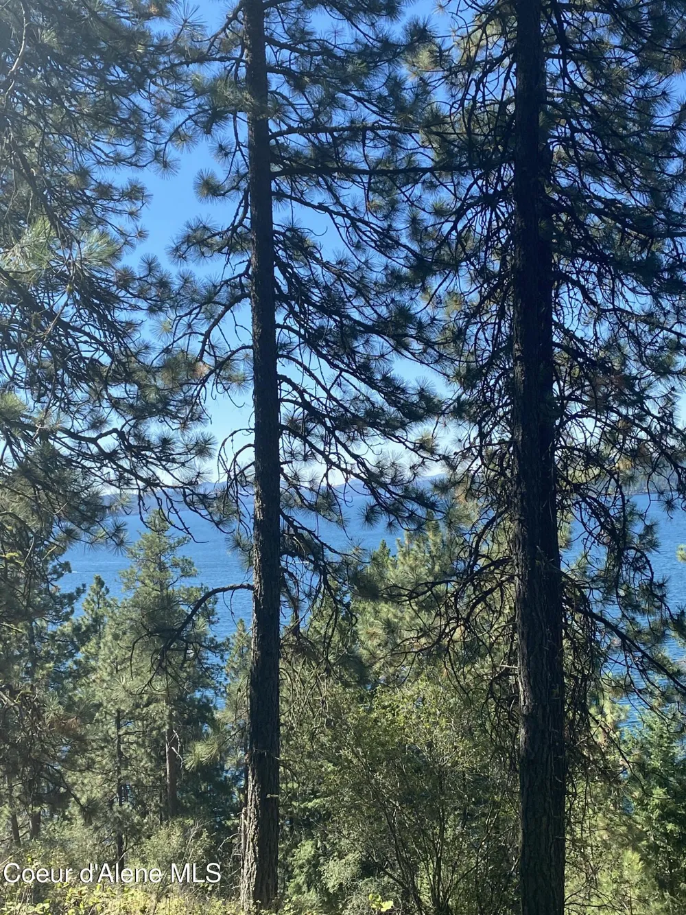 0000NKA E Driftwood Heights Drive Harrison, ID 83833