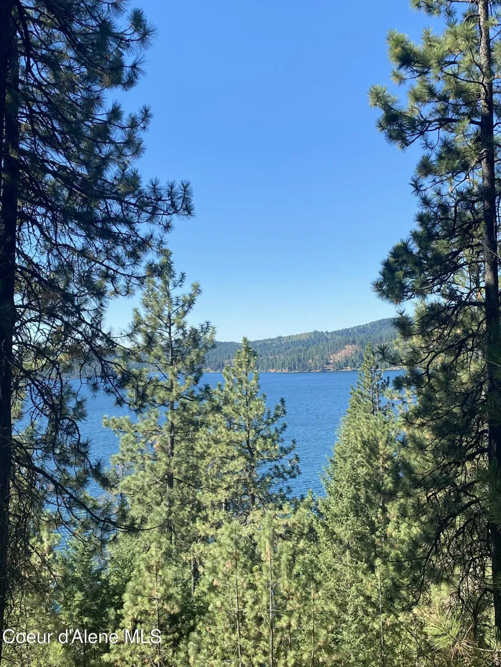 0000NKA E Driftwood Heights Drive Harrison, ID 83833