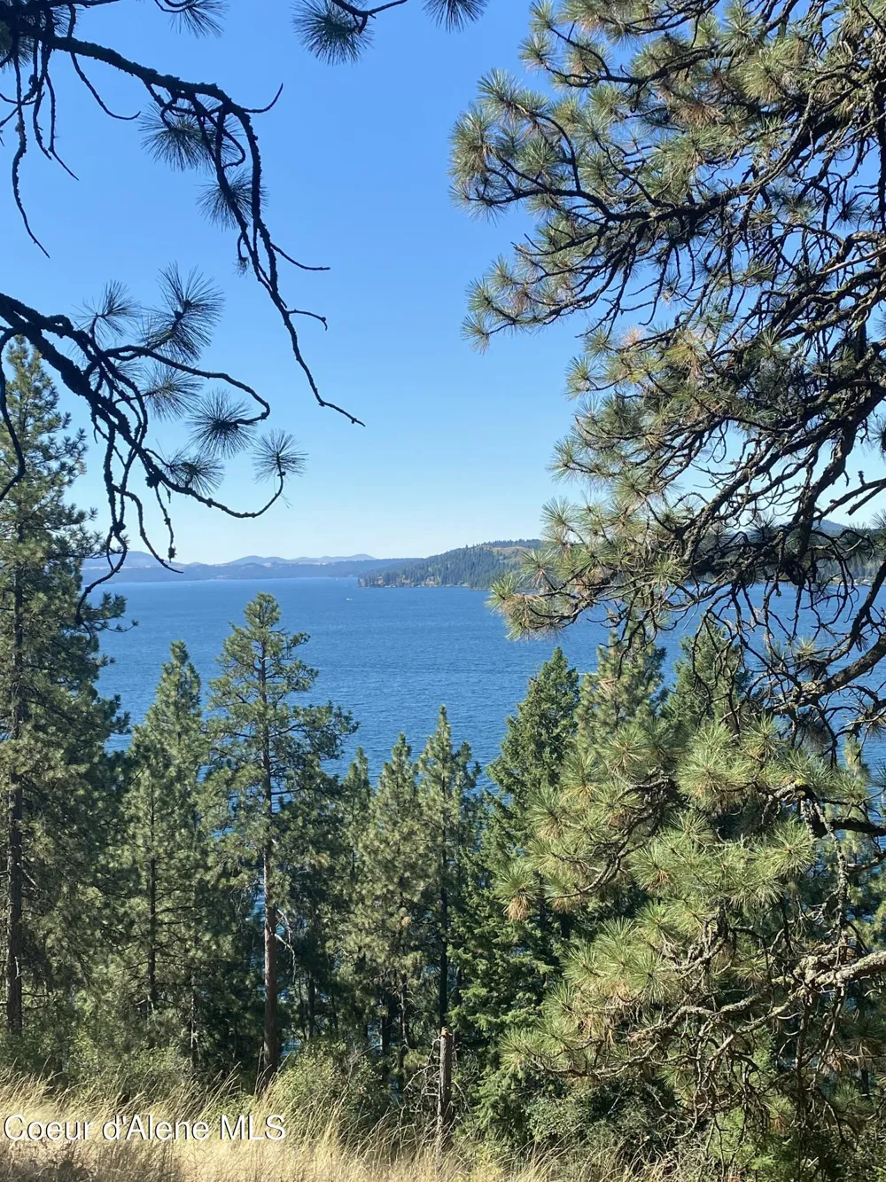 0000NKA E Driftwood Heights Drive Harrison, ID 83833