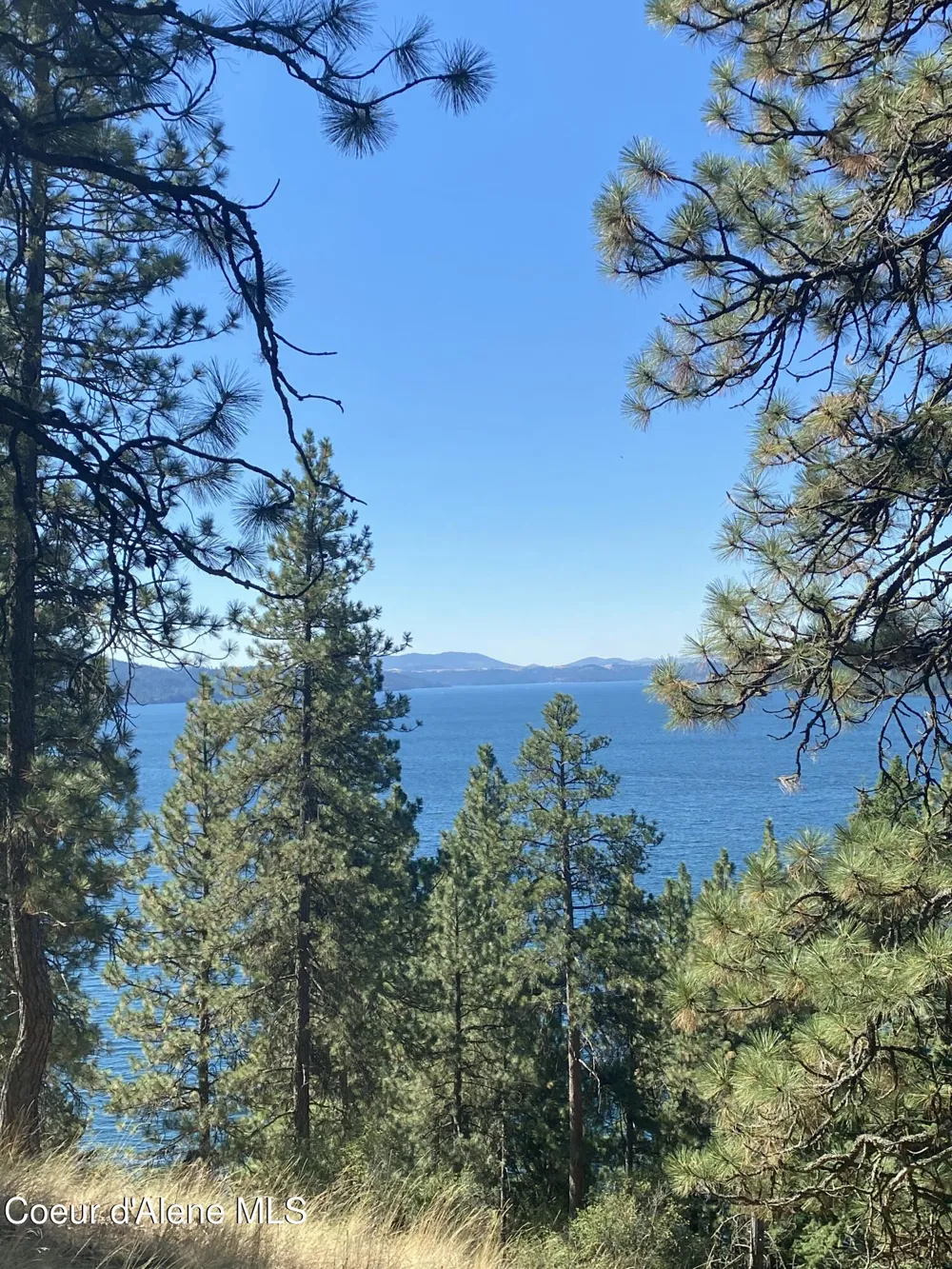 0000NKA E Driftwood Heights Drive Harrison, ID 83833