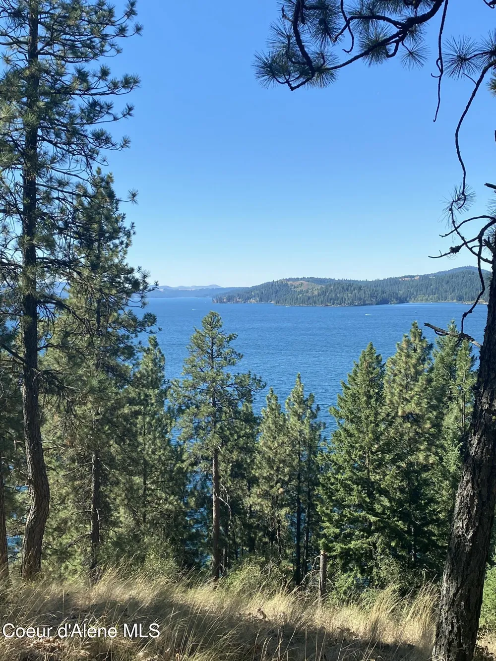 0000NKA E Driftwood Heights Drive Harrison, ID 83833