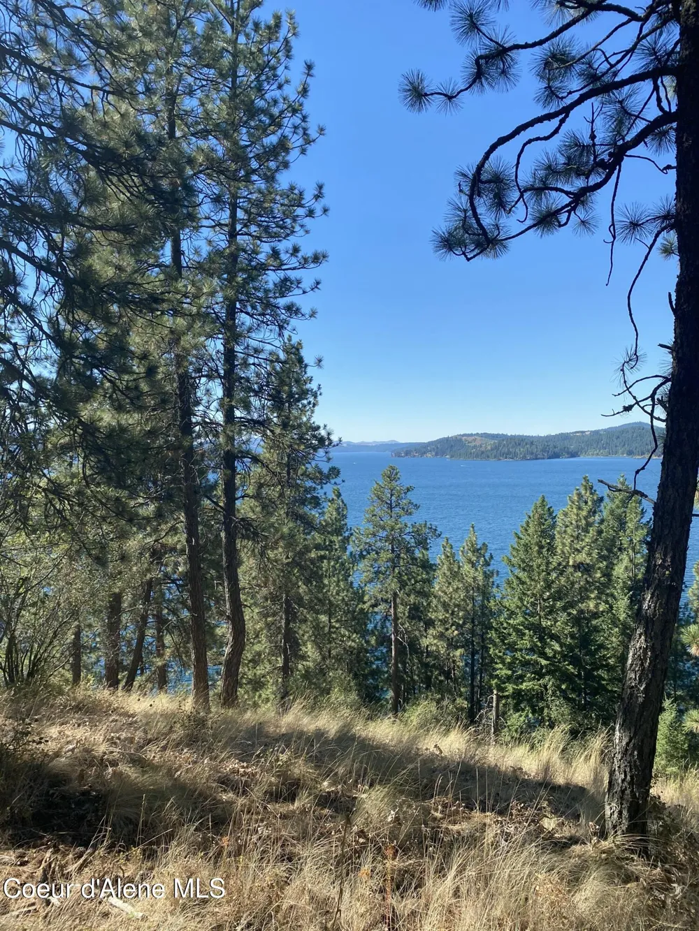 0000NKA E Driftwood Heights Drive Harrison, ID 83833