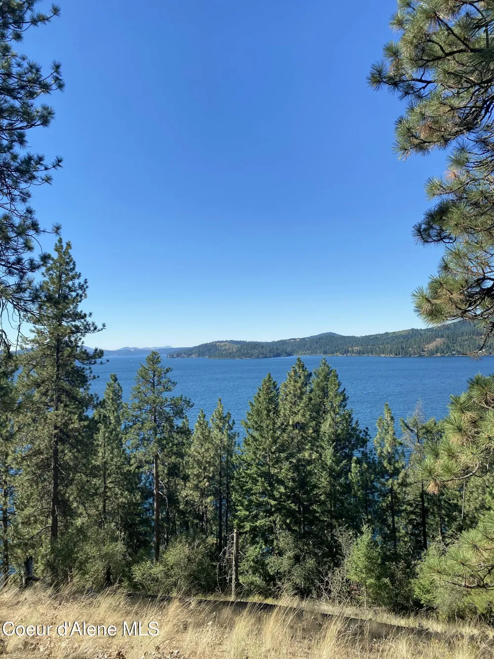 0000NKA E Driftwood Heights Drive Harrison, ID 83833