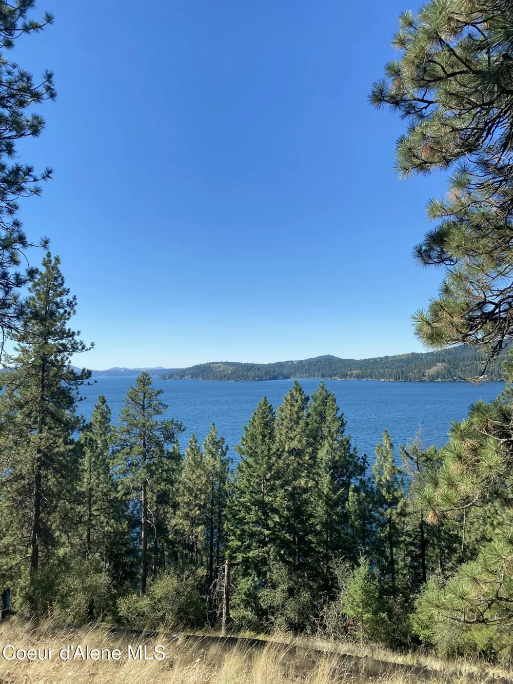 0000NKA E Driftwood Heights Drive Harrison, ID 83833