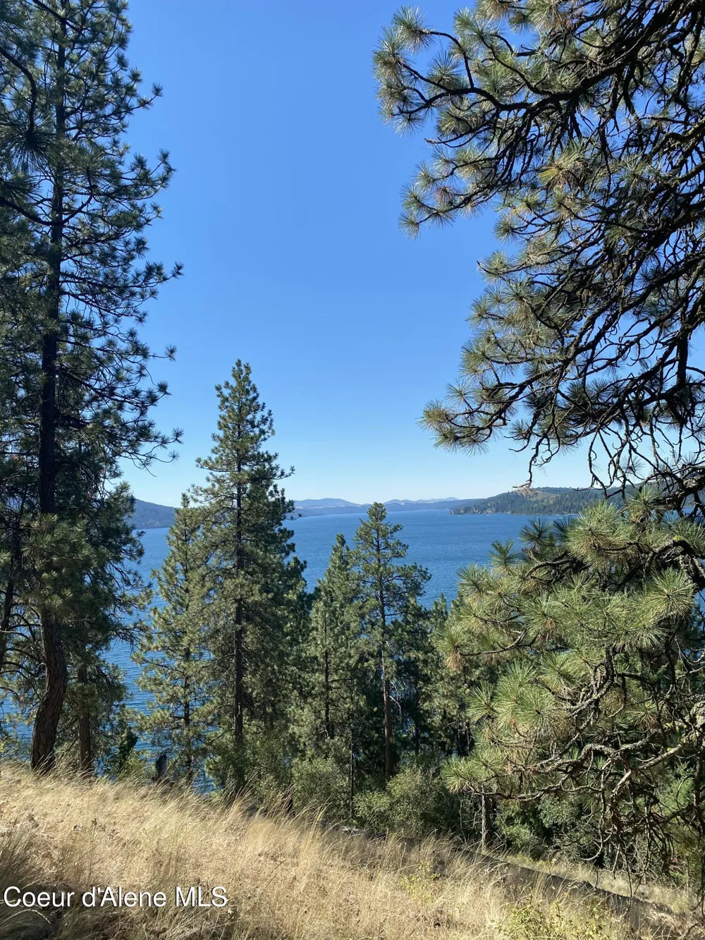 0000NKA E Driftwood Heights Drive Harrison, ID 83833