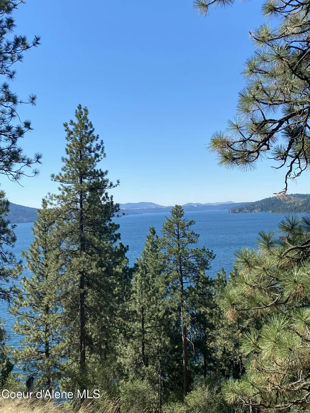 0000NKA E Driftwood Heights Drive Harrison, ID 83833