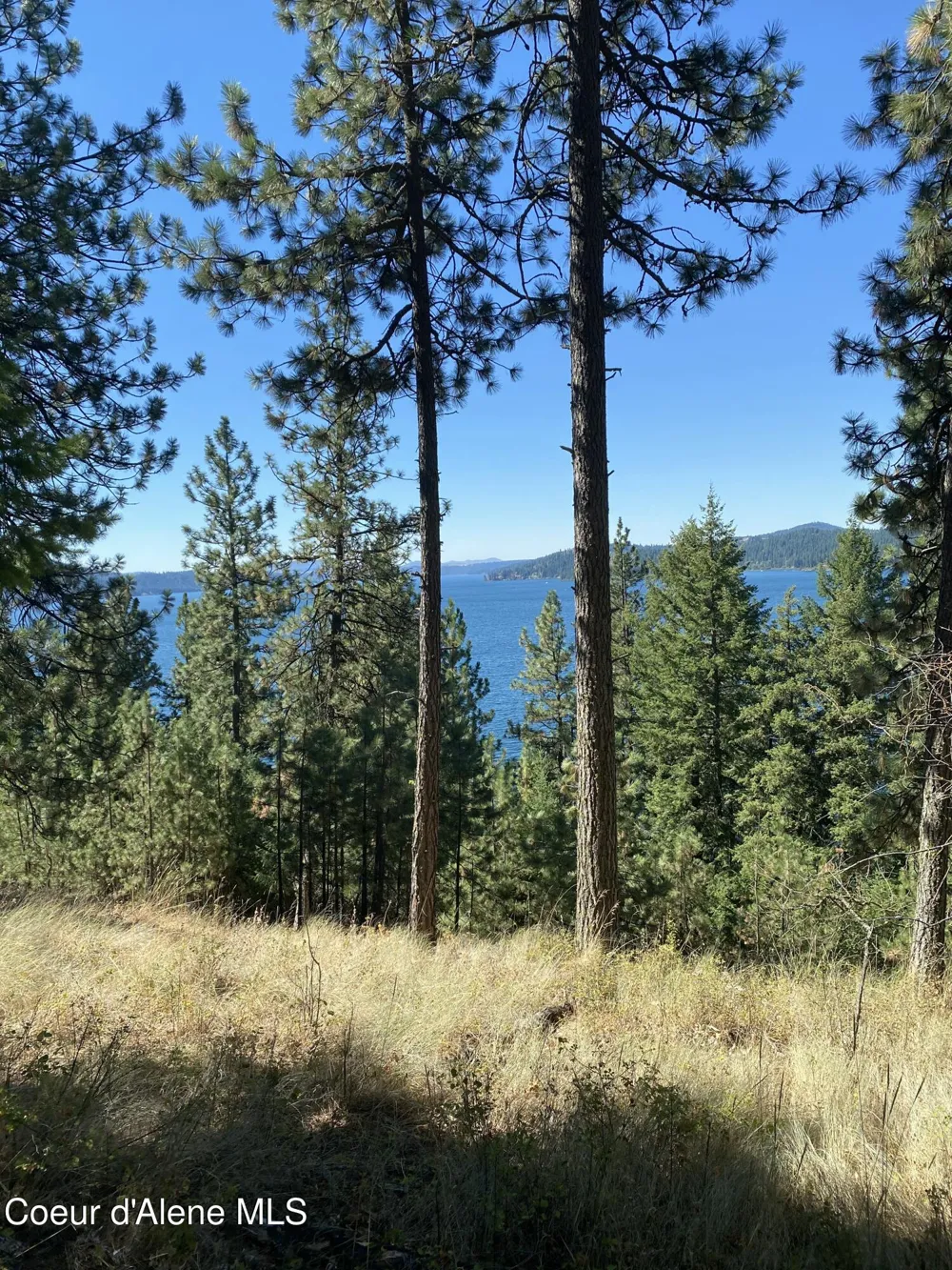 0000NKA E Driftwood Heights Drive Harrison, ID 83833