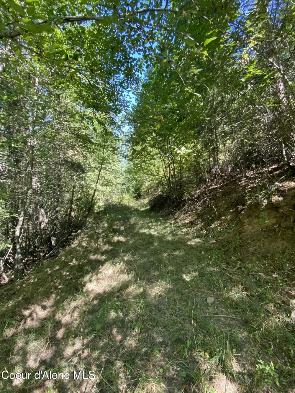 0000NKA E Driftwood Heights Drive Harrison, ID 83833