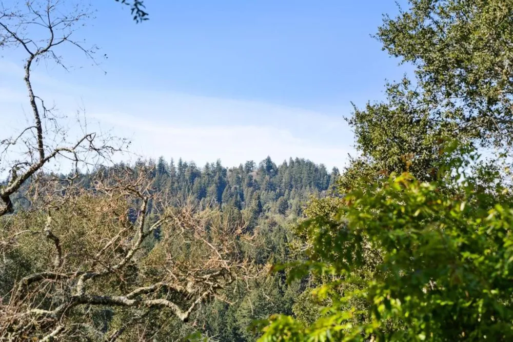 21386 Sunnyside Road Los Gatos, CA 95033