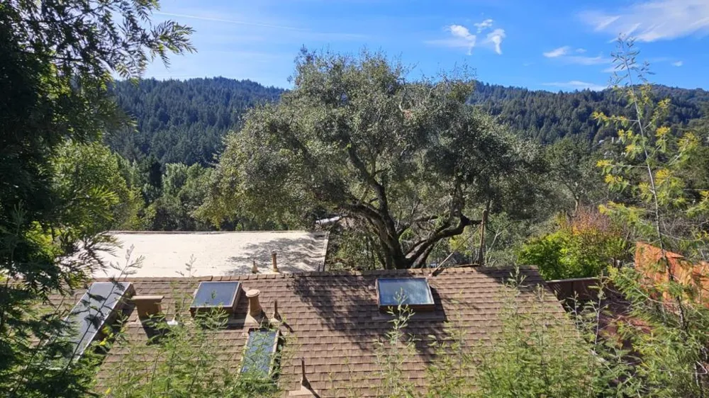 21386 Sunnyside Road Los Gatos, CA 95033