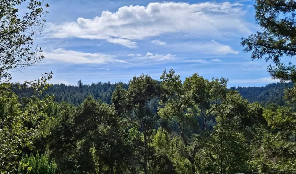 21386 Sunnyside Road Los Gatos, CA 95033