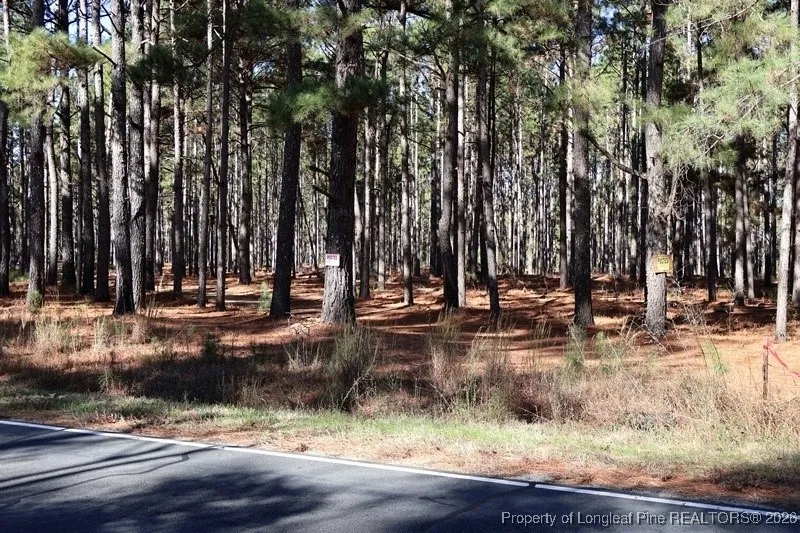 Stuarts Mill Road Fairmont, NC 28340