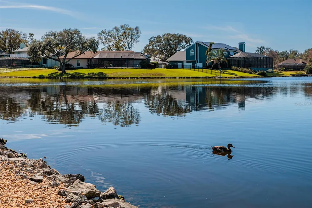 8402 TALLAHASSEE DRIVE NE St Petersburg, FL 33702
