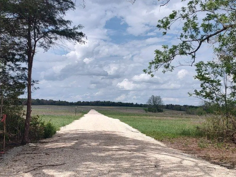 Cr 328, Tract 2, 10 Acres Caldwell, TX 77836