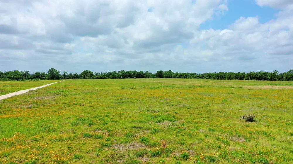 Cr 328, Tract 4, 10 Acres Caldwell, TX 77836