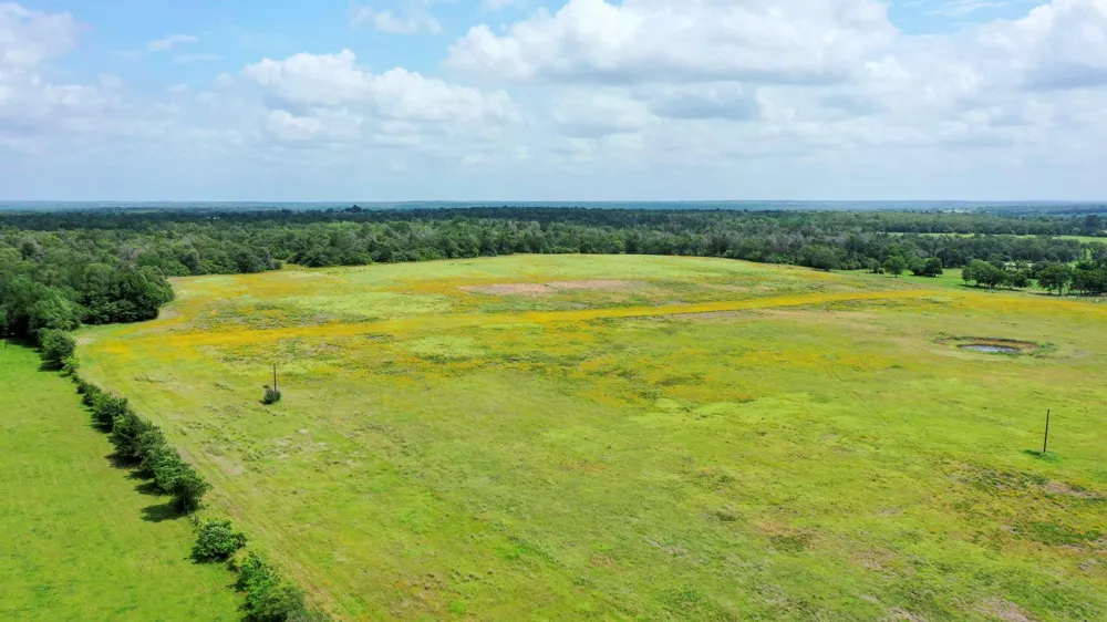 Cr 328, Tract 4, 10 Acres Caldwell, TX 77836