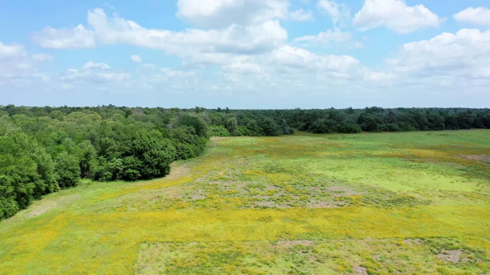 Cr 328, Tract 4, 10 Acres Caldwell, TX 77836