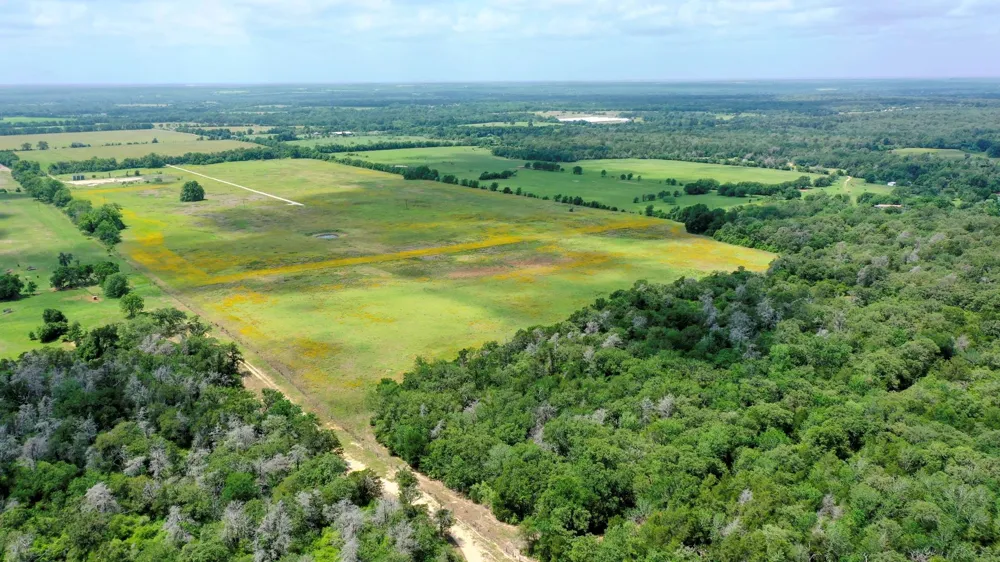 Cr 328, Tract 4, 10 Acres Caldwell, TX 77836
