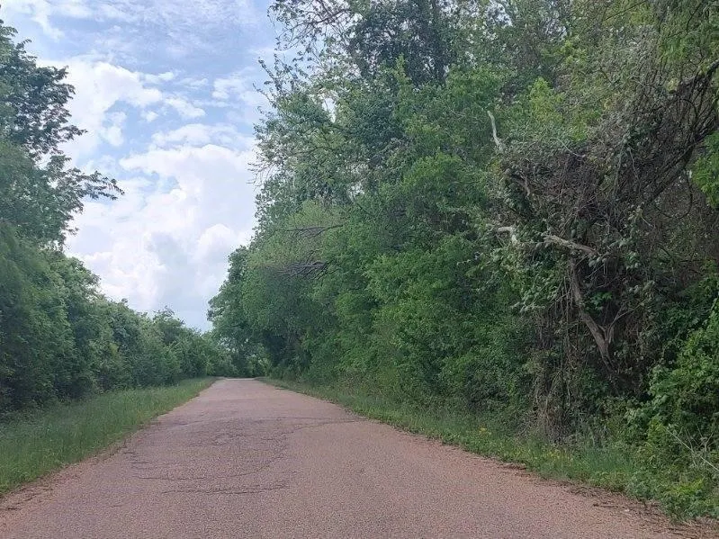 Cr 328, Tract 4, 10 Acres Caldwell, TX 77836