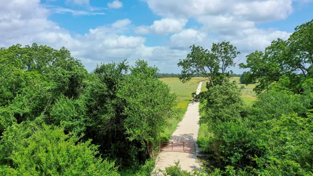 Cr 328, Tract 4, 10 Acres Caldwell, TX 77836