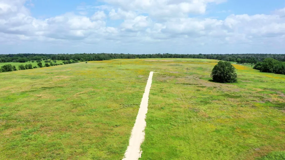Cr 328, Tract 8, 11 Acres Caldwell, TX 77836