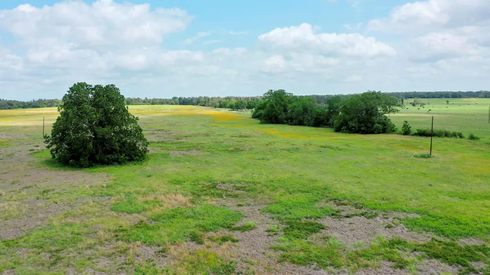Cr 328, Tract 8, 11 Acres Caldwell, TX 77836