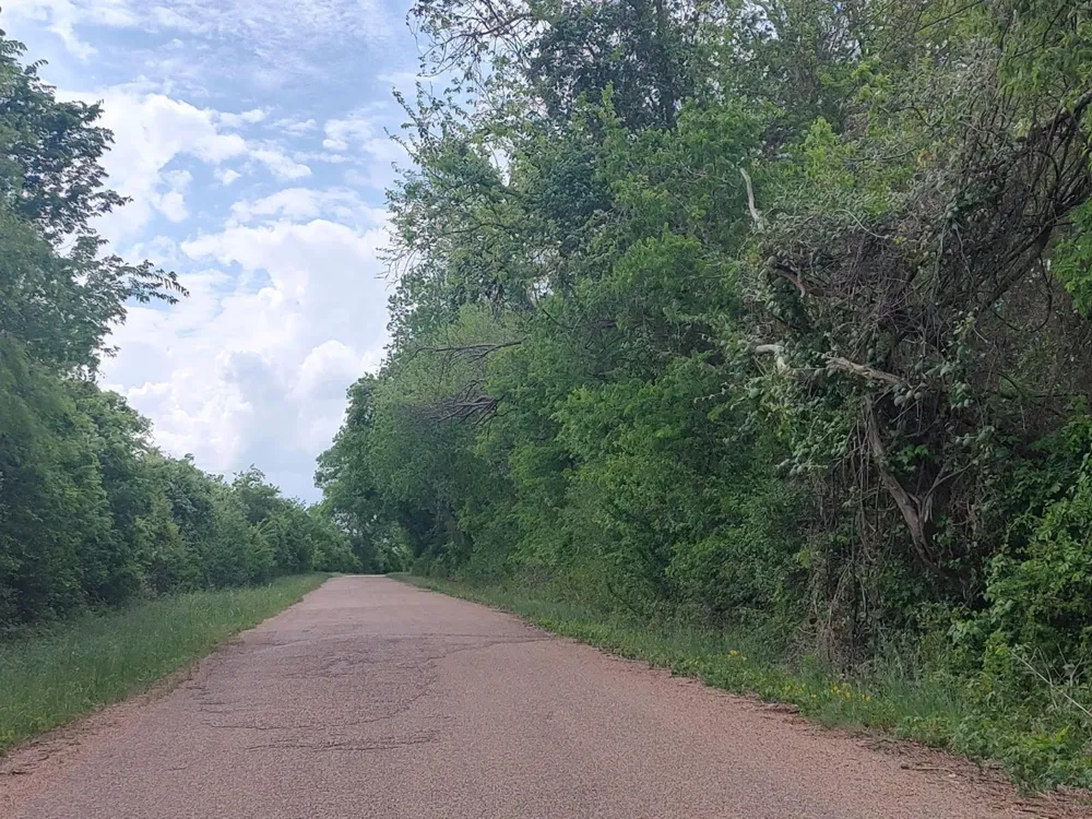 Cr 328, Tract 8, 11 Acres Caldwell, TX 77836