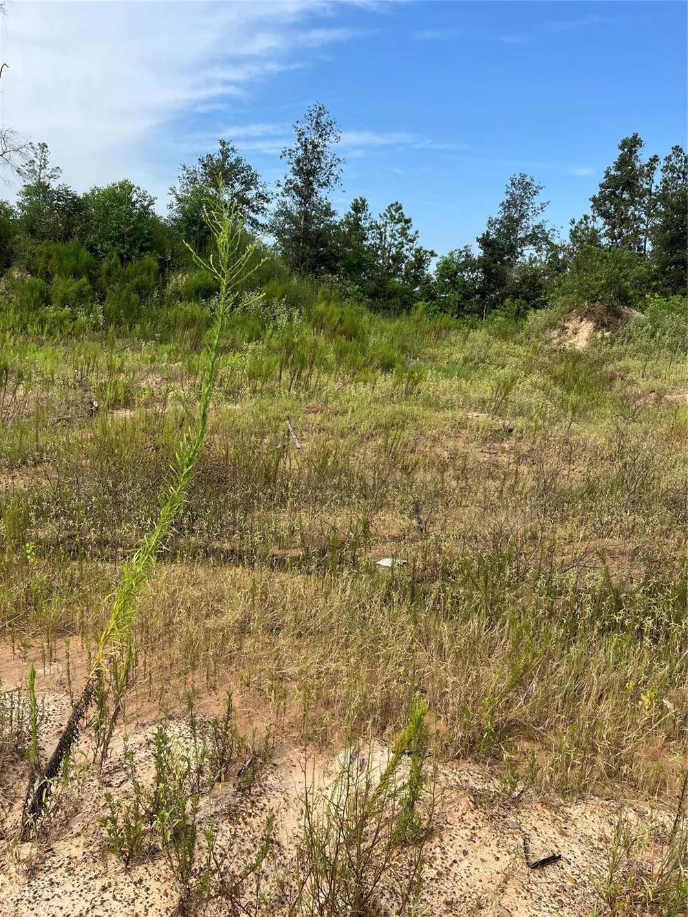 470 Cr 5914 29 Splendora, TX 77327