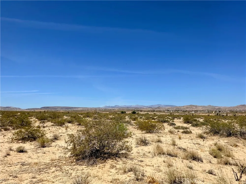 Amargo Road Landers, CA 92285