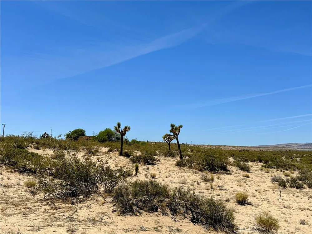 Amargo Road Landers, CA 92285