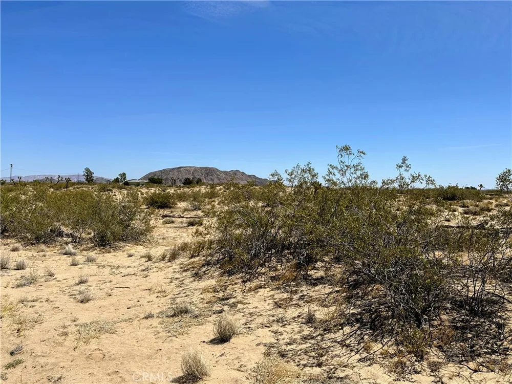 Amargo Road Landers, CA 92285