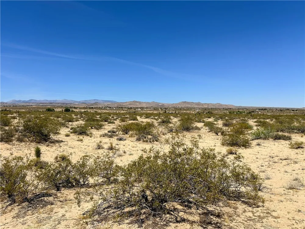 Amargo Road Landers, CA 92285