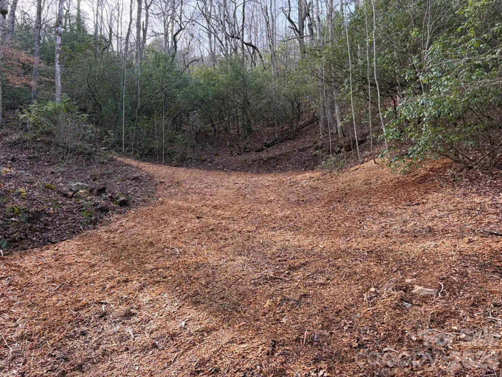 70 Crescent Ridge Franklin, NC 28734