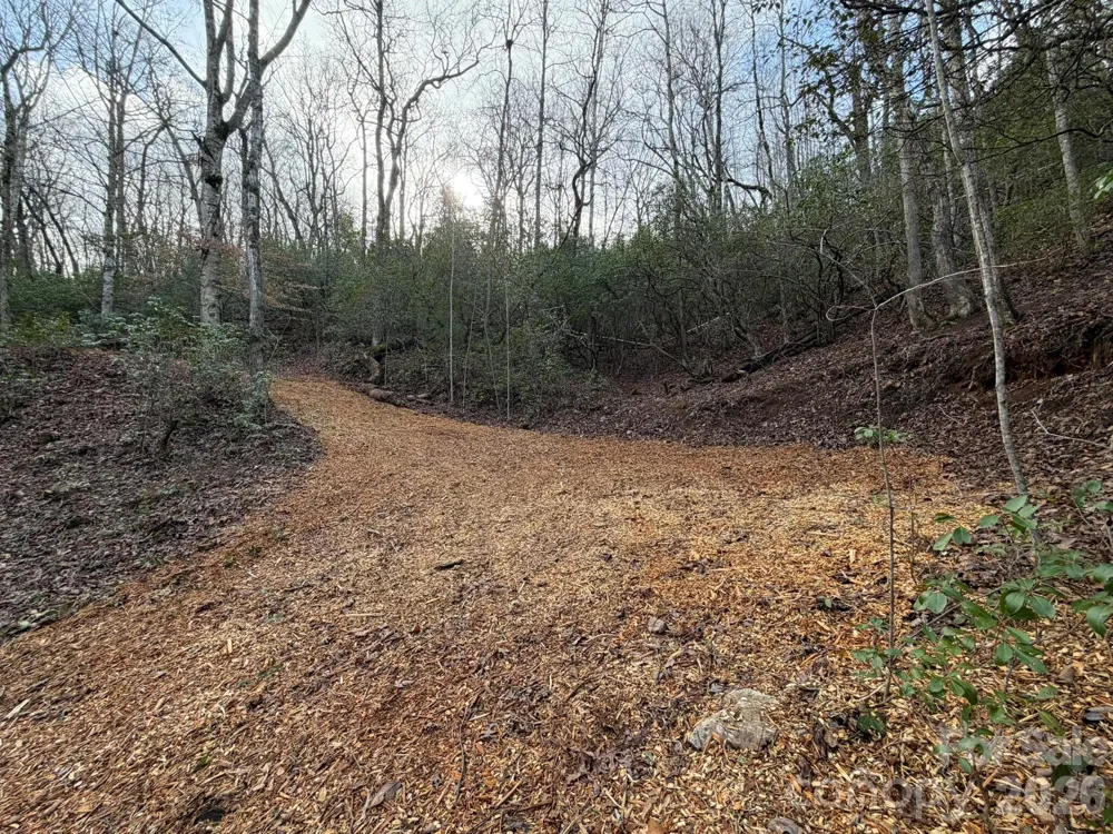 70 Crescent Ridge Franklin, NC 28734