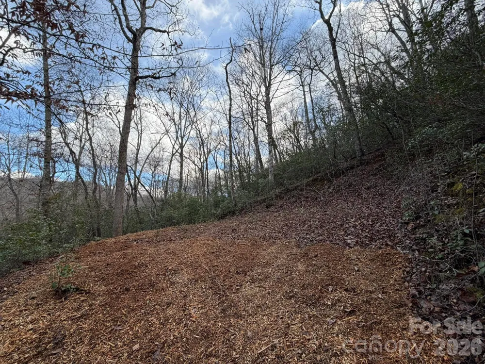 70 Crescent Ridge Franklin, NC 28734
