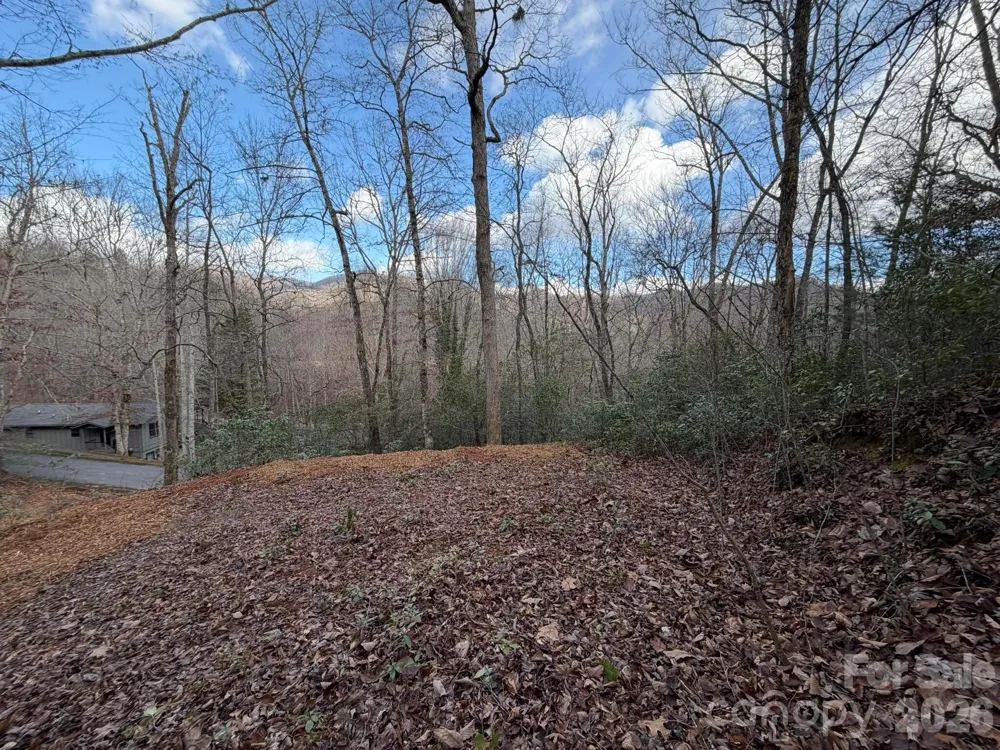 70 Crescent Ridge Franklin, NC 28734