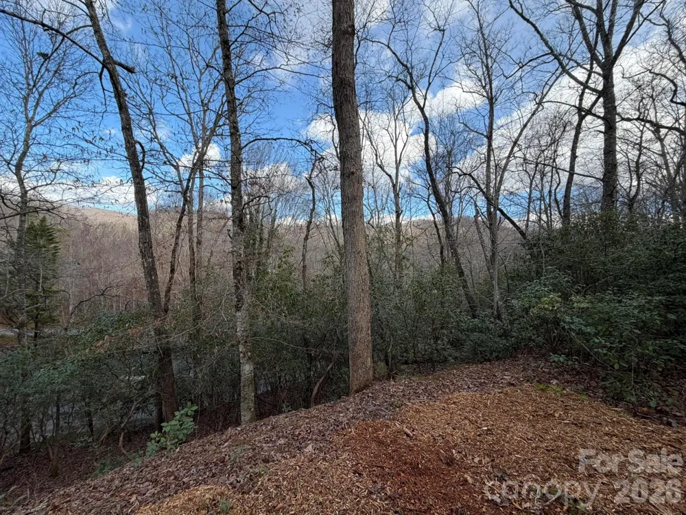 70 Crescent Ridge Franklin, NC 28734