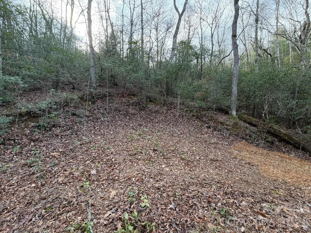 70 Crescent Ridge Franklin, NC 28734